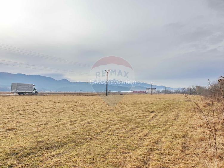 Teren 11600 mp, front la DN73B, Cristian - 9