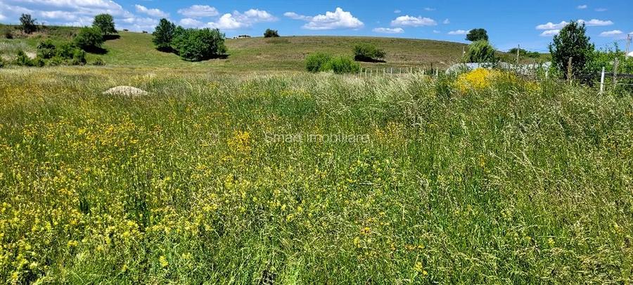 Teren Intravilan Podul Olt - 4