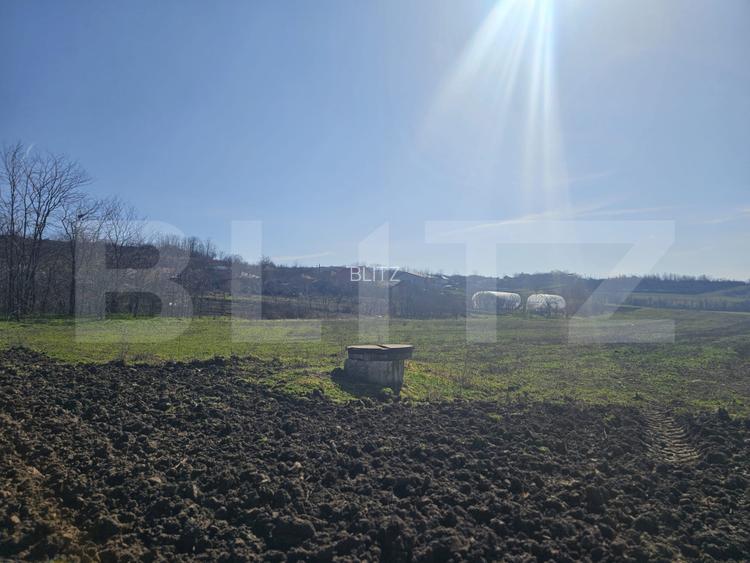 Teren intravilan, suprafata 7850 mp, zona Cornetu - 2