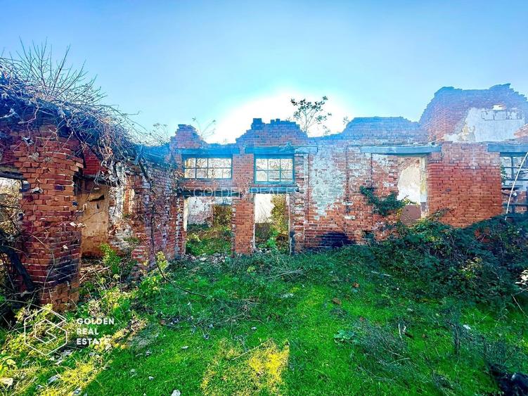 Teren intravilan 71.000mp, Barsa, Renumita Fabrica de caramida si casa 4 camere - 14