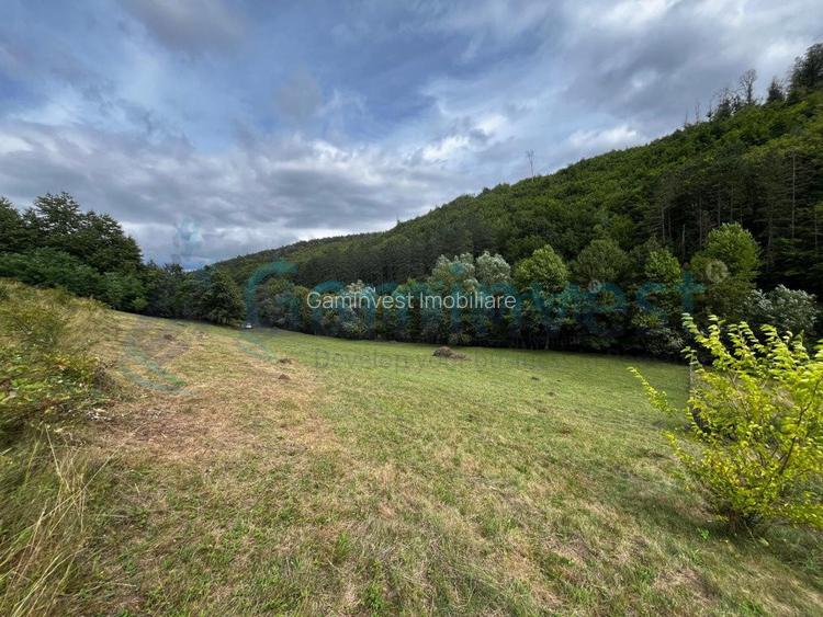 Teren extravilan de vanzare in Calatea, comuna Astileu, Bihor - 3