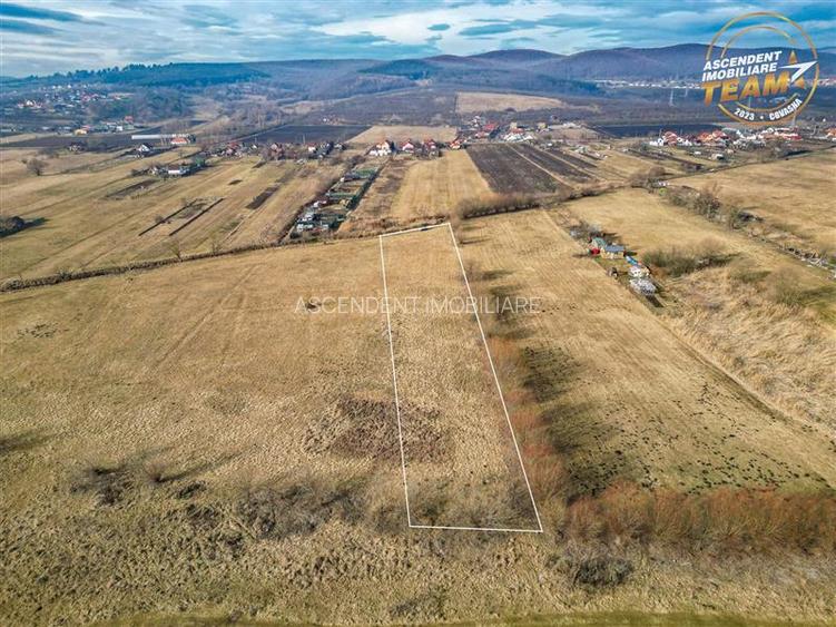 Teren extravilan de 5.800 mp in Sfantu Gheorghe:oportunitate Investie/Exploatare - 4