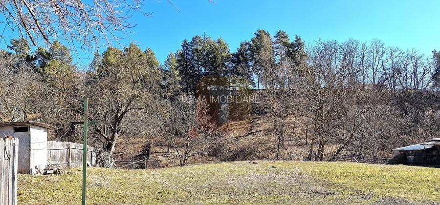 Casă cu 5 camere și teren generos de 2135 mp în Bistrița, jud. Neamț - 3