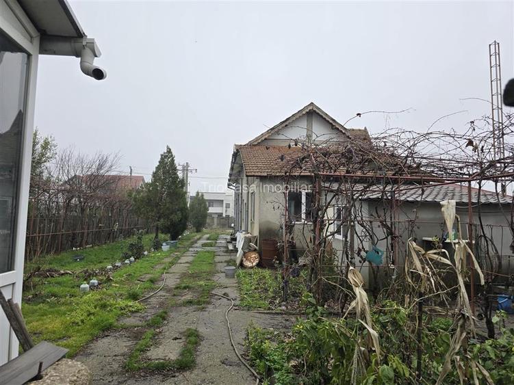 Csa la Gri si Hala - 3