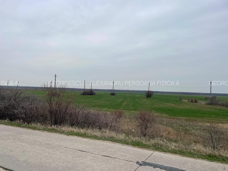 Giurgiu-Marsa Teren Agricol 8.5 Ha - 4