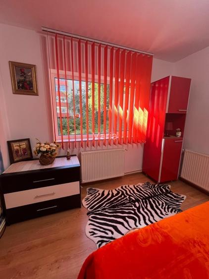 Vand apartament 2 camere in Busteni cu vedere panoramica - 2