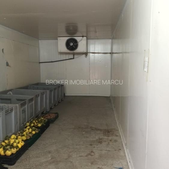 Depozit 600mp Techirghiol - 13