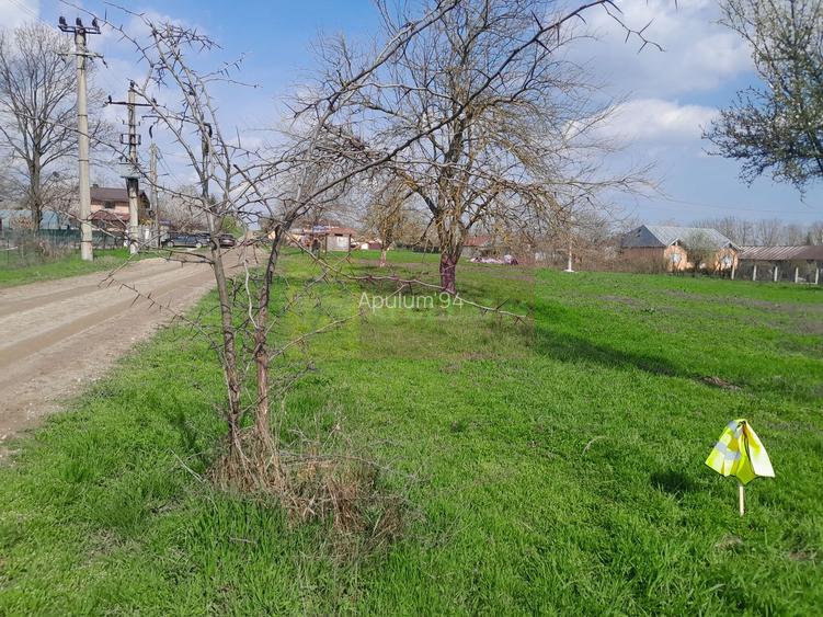 DE VANZARE TEREN 3400 MP IN SAT PODU ILFOVAT / COM BUTURUGENI (GR) - 34