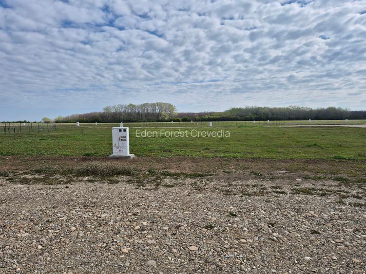 Teren 638 mp proiect Eden Forest Crevedia, langa padure - 3