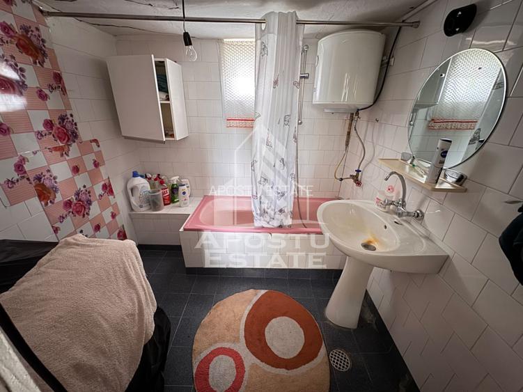 Casa batraneasca + Constructie la rosu, in sat Pesac, judetul Timis - 24