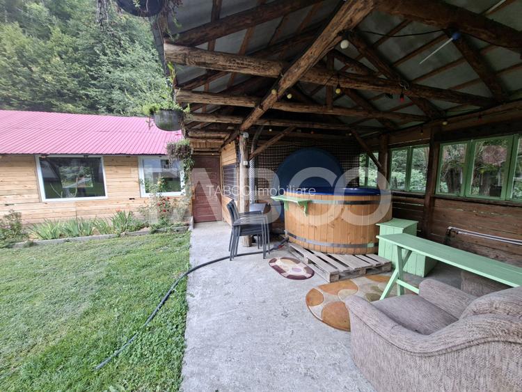 Spatiu de vanzare in Valea Macesului judel Valcea iesire la Lotru - 32