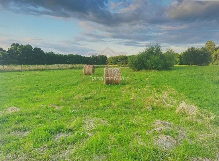 TEREN INTRAVILAN CU PUZ\ 704 MP\CARANSEBEȘ\ ZONA TEIUȘ - 4