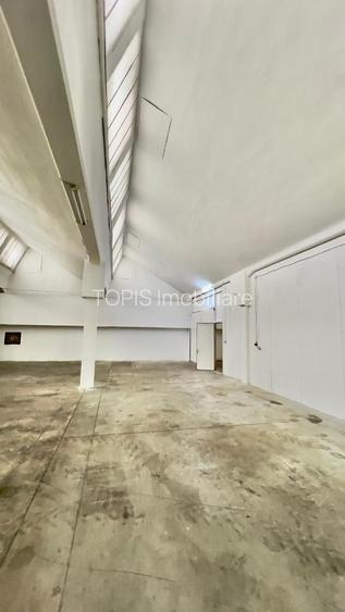 Pantelimon / Republica - Spațiu Industrial / Producție / Depozitare - 13