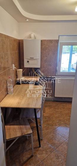 Apartament 3 camere de inchiriat, zona Lipovei, Timisoara,Pet Frendly - 10