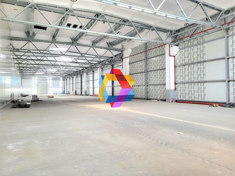 Hala de inchiriat Brasov - 1188 mp  # plus-imo.ro - 5