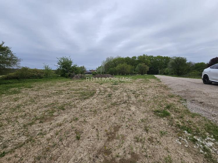 Clinceni Ordoreanu lot teren 1000mp - 3