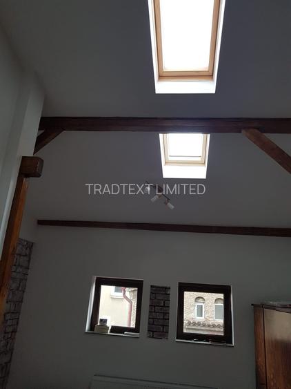 Mansardă în vila zona Dinamo - 8