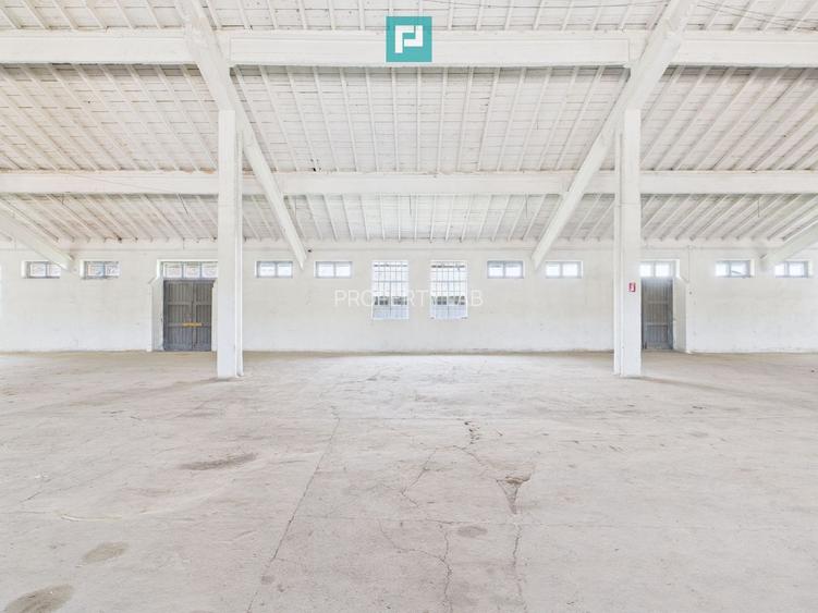 Hale 1800 mp fiecare – acces autostradă, Teiu, HD - 7