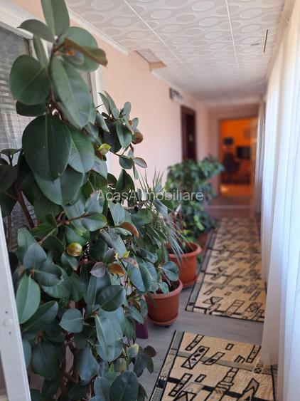 Casa in Smardan cu centrala termica si  utilitati la pret de apartament - 3