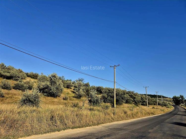 Teren de 27660 mp in Letcani - 3