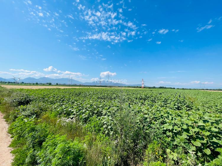 Teren  intravilan! Oportunitate de investitie! - 3