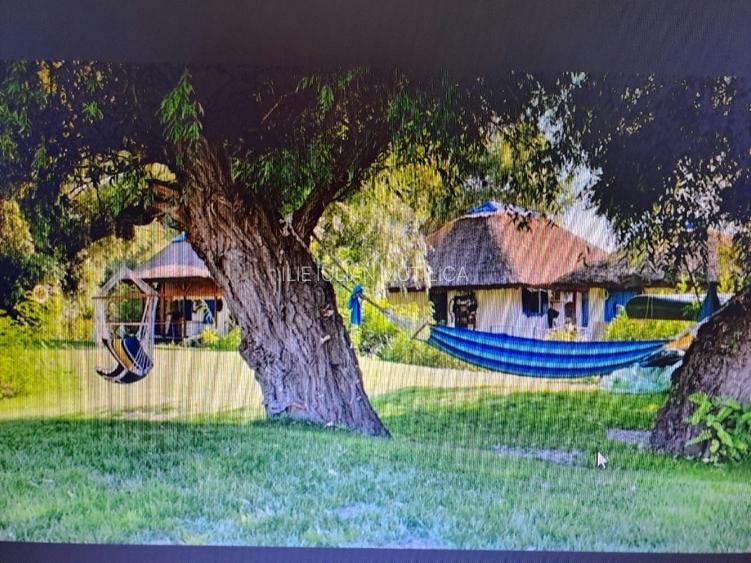 De vanzare Pensiunea Casa Delta,8 camere, situata pe Dunarea Veche, langa Lebada - 3