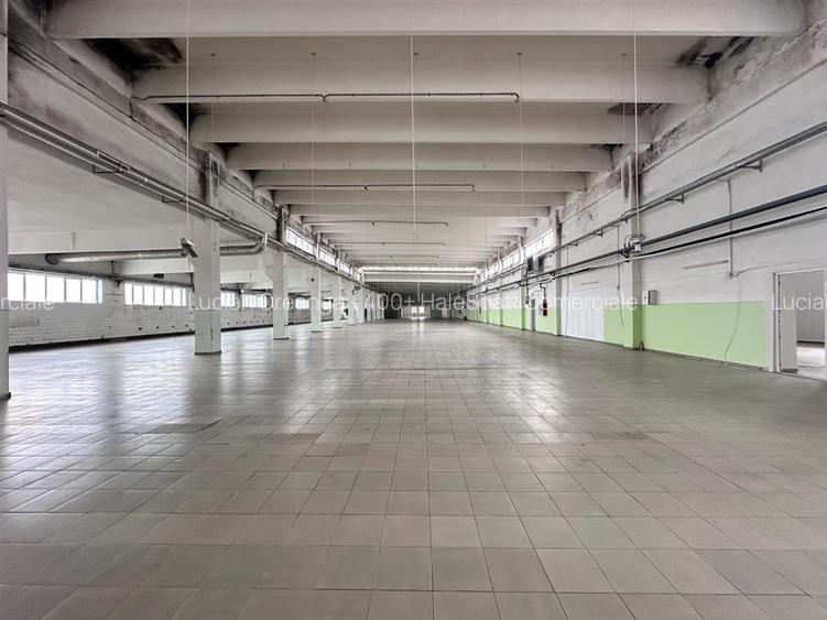Hala/ spatiu comercial Pascani, 1500mp - 2