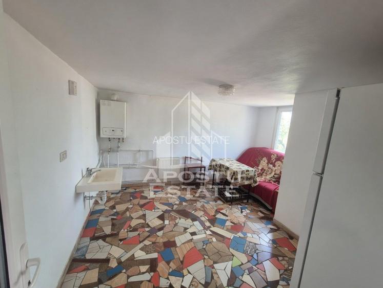 Casa spațioasă, 280 mp utili, Sânnicolau Mare - 5