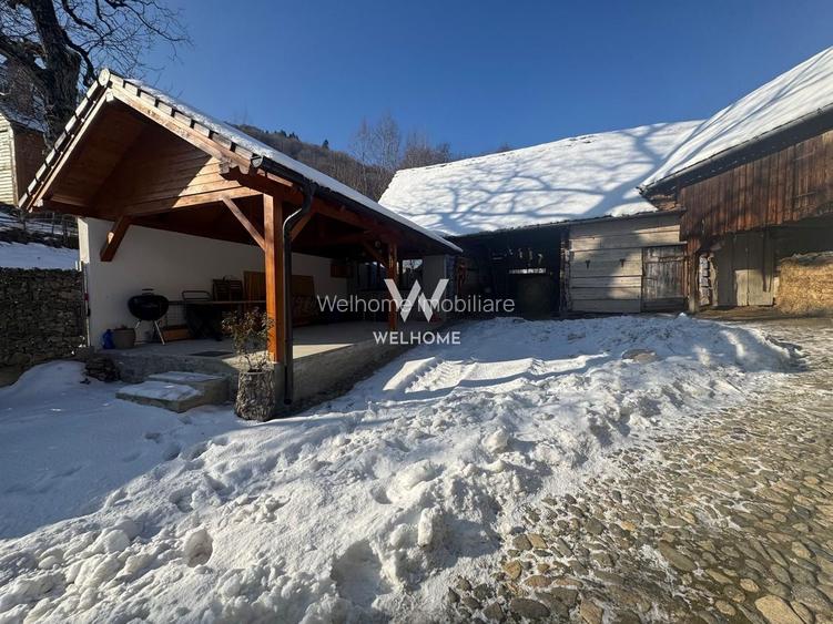 Casa de vacanta, sat Fantanele, Sibiu - 10