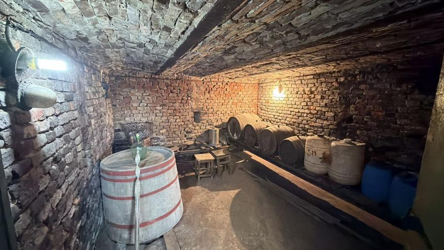 De vânzare 2 Case de vinificație cu Teren 4108 mp - Grădina Viilor - Carei