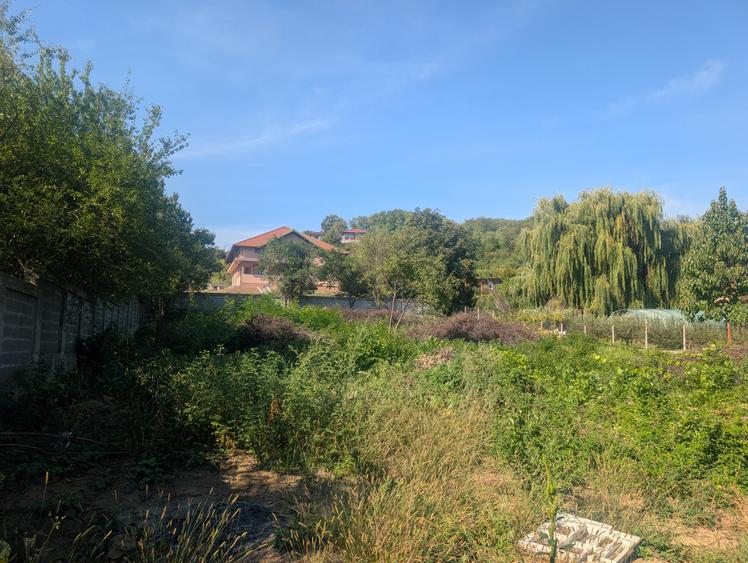 Teren intravilan Hemeiuș , loturi de casa, toate utilitățile.