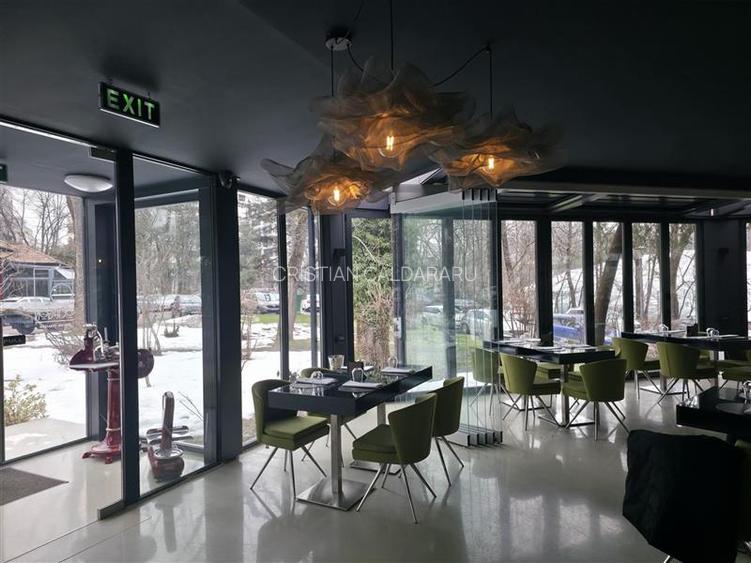 Vanzare spatiu comercial/restaurant/afacere la cheie  Nordului - Herastrau Parc, - 2