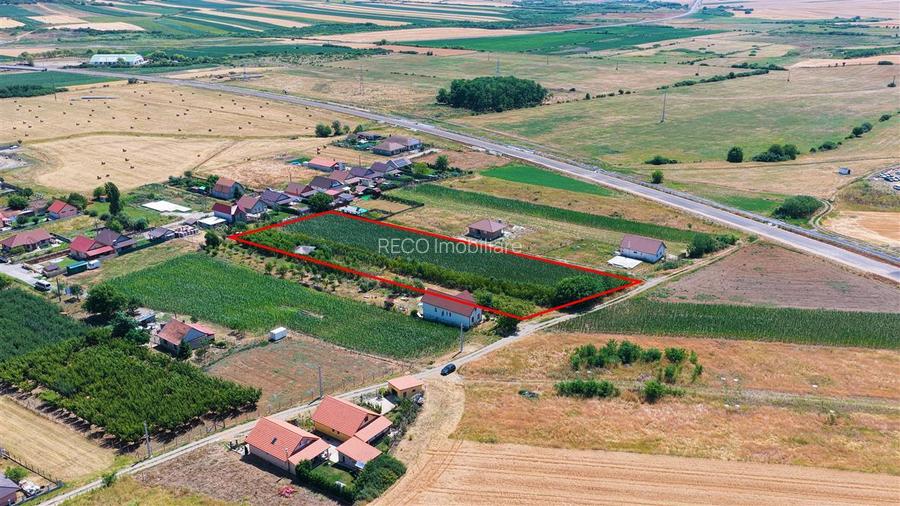 RECO Teren intravilan Biharia - 4