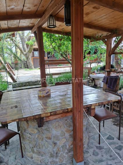 Proprietate de excepție în Lelești – la doar 8 km de Târgu Jiu - 16