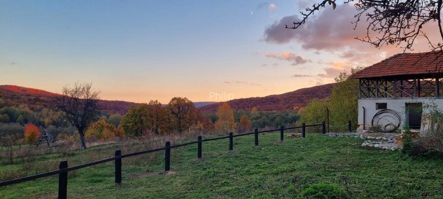 Casa traditionala intr-o zona de vis pe langa Curtea de Arges  - 5