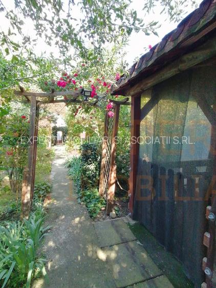 Casa spatioasa 6 camere, teren generos, Oituz – Lumina - 14