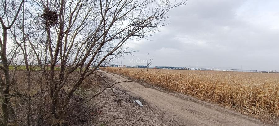 Teren intravilan industrial,str.Durau - 7