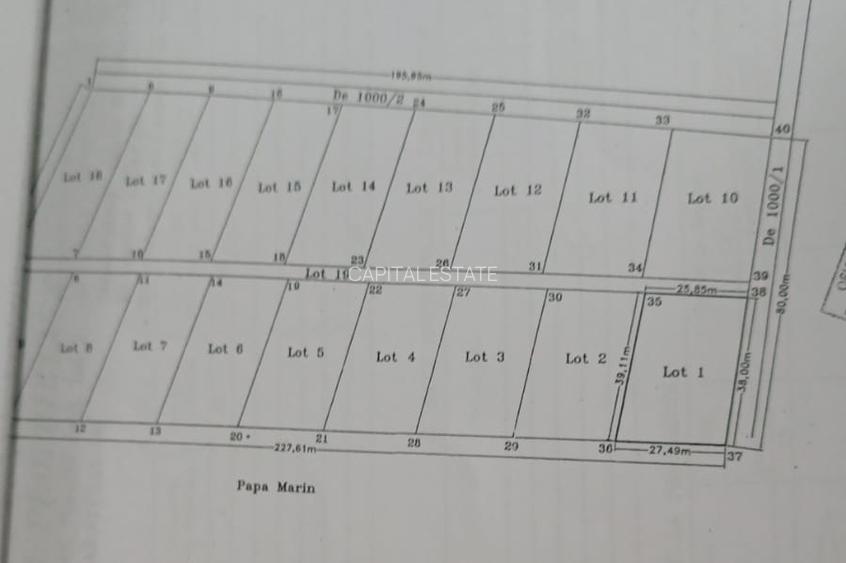 SUPER OFERTA - Teren intravilan Peris - 19240 mp lotizat - 3