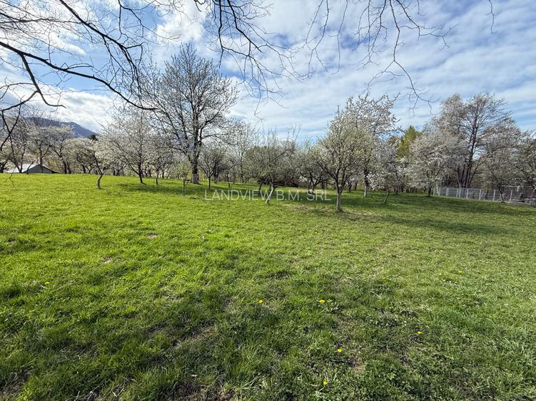 Teren intravilan 763 mp in zona Bran-Tohanita,judetul Brasov - 7