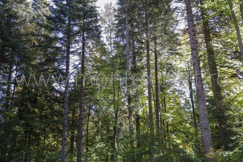 Sinaia, Furnica, apartament cu 2 camere in imobil nou!!! - 9