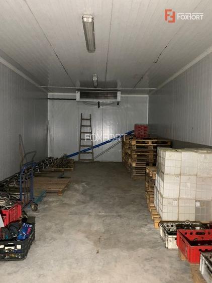 COMISION 0% Hala Industriala 500 mp cu Spatiu de Birou 200 mp in Buzias - 10