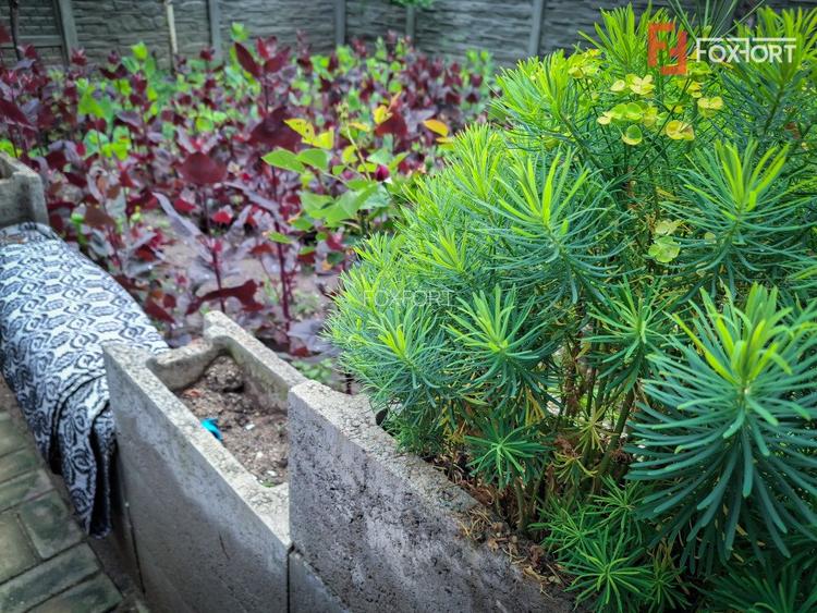 COMISION 0%! Casa individuala cu 6 camere de vanzare in Giroc  - 41