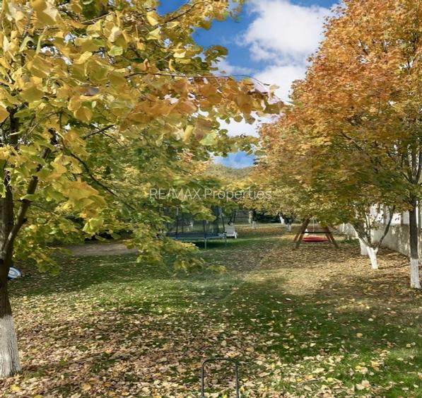 Casă / Vilă de vanzare la intrare in Mogosoaia, padure, teren 1097mp - 5