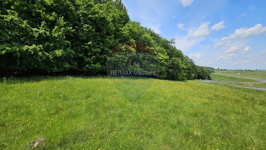 Teren Ilisesti  7000mp extravilan/ DN 17, Suceava - 26