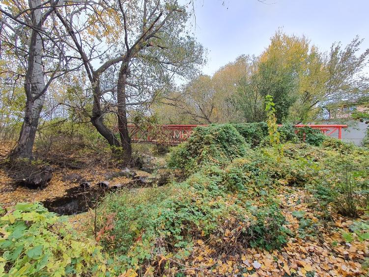 Teren de vânzare “Dumbrava Minunata” în Domnesti, Ilfov - 15