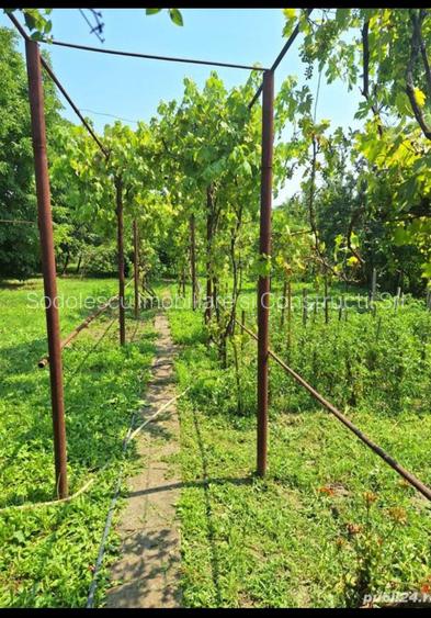 Casa individuala cu teren generos - 7