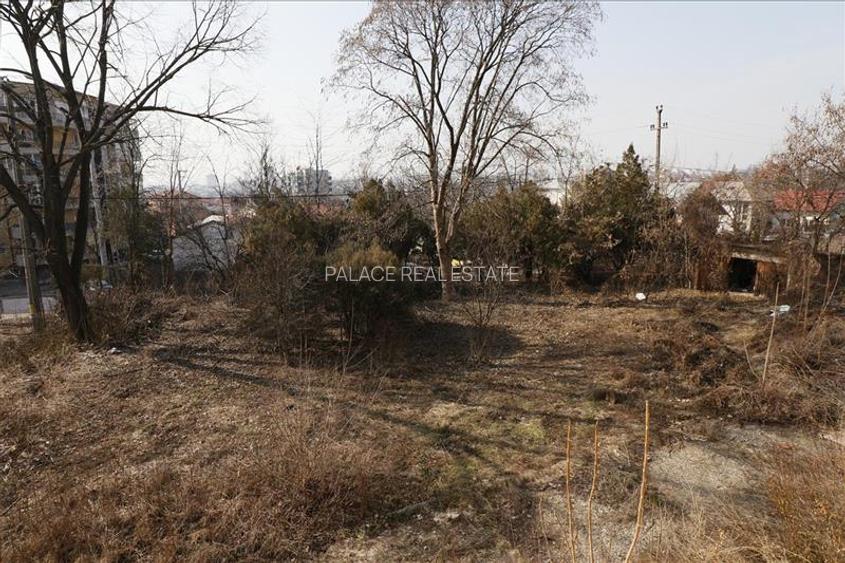 Cladire istorica- Ideal Investitie 700 mp + 3200 mp teren, Tatarasi - Spital Pas - 5