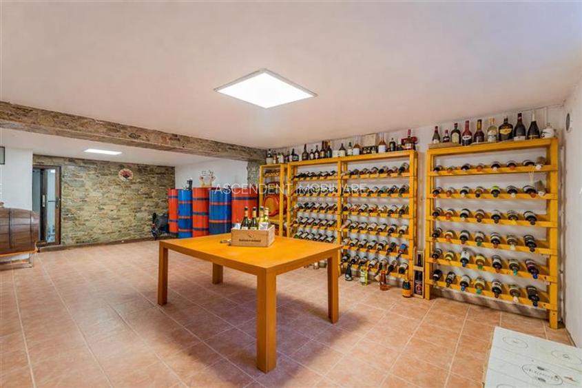 FILM! Resedinta cu identitate arhitecturala, 700mp teren, garaj 4X, Tractorul, B - 8