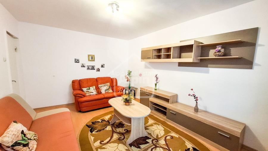 Suprafata Generoasa I Zona Gemenii - 4