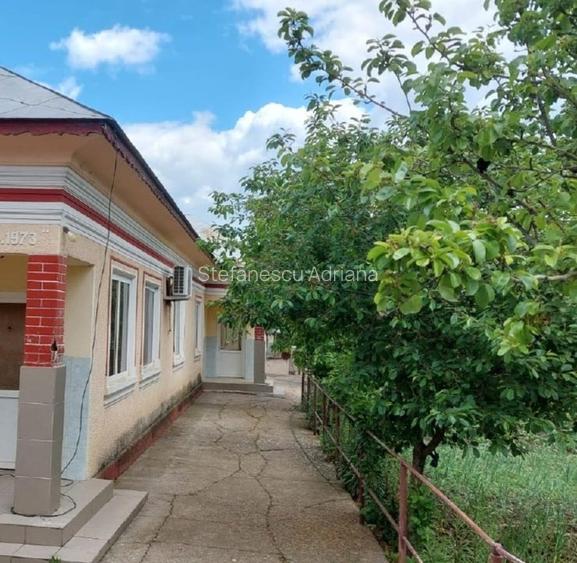 Proprietate cu 2 locuințe + spațiu comercial, 1175 mp teren – Islaz - 7